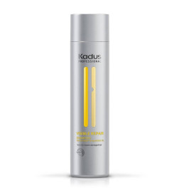 Shampooing Visible Repair Care 250ml Kadus