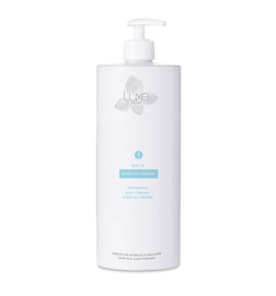 Shampoing Bain Disciplinant 1000ml
