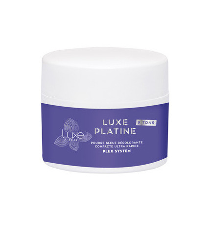 Poudre Déco Bleue Luxe Platine 100g