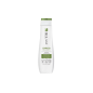 Shampoing Strength Recovery Biolage 250ml Shampoing Strength Recovery Biolage 250ml