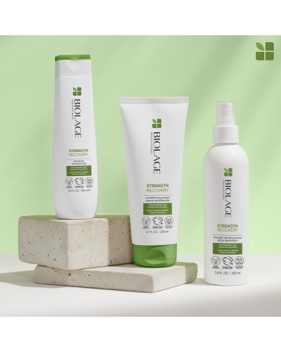 Shampoing Strength Recovery Biolage 250ml