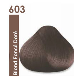 Coloration Végétale Natural Concept N°603 Blond Foncé Doré 100g