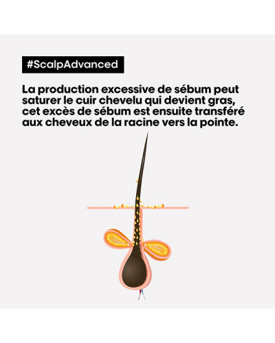 Shampoing et Masque 2-en-1 Scalp Advanced Argile Professionnelle Serie Expert l'Oréal Professionnel 250ml