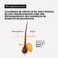 Shampoing Anti-Démangeaisons Régulateur Scalp Advanced Serie Expert L'Oréal Professionnel 300ml