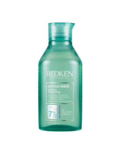 Shampoing Purifiant Amino Mint Redken 300ml