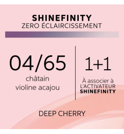 Coloration Gloss Shinefinity 04/65 Deep Cherry 60ml