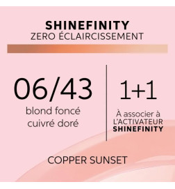 Coloration Gloss Shinefinity 06/43 Copper Sunset 60ml