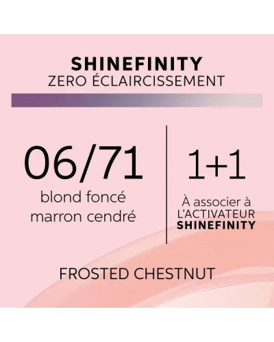 Coloration Gloss Shinefinity 06/71 Frosted Chestnut 60ml