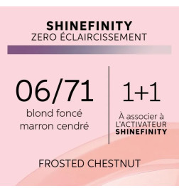 Coloration Gloss Shinefinity 06/71 Frosted Chestnut 60ml