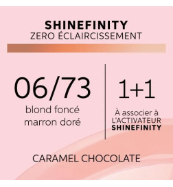 Coloration Gloss Shinefinity 06/73 Caramel Chocolate 60ml