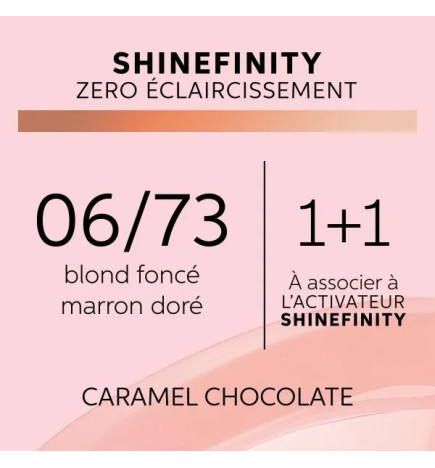Coloration Gloss Shinefinity 06/73 Caramel Chocolate 60ml