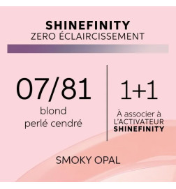 Coloration gloss Shinefinity 07/81 Smoky Opal 60ml