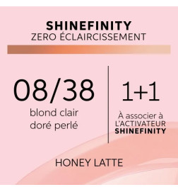 Coloration Gloss Shinefinity 08/38 Honey Latte 60ml