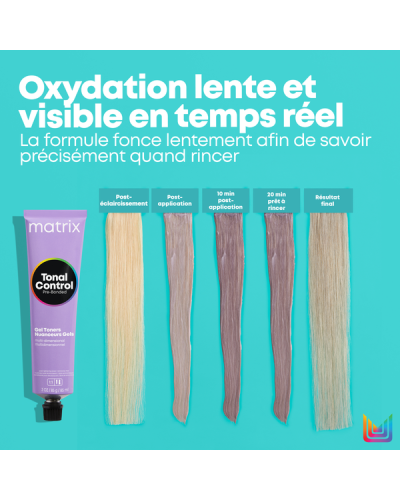Patine Tonal Control Pré-Bonded 11PV 90ml Matrix