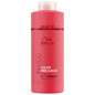 Shampoing Color Cheveux ?pais Invigo 1000ml Shampoing Color Cheveux ?pais Invigo 1000ml