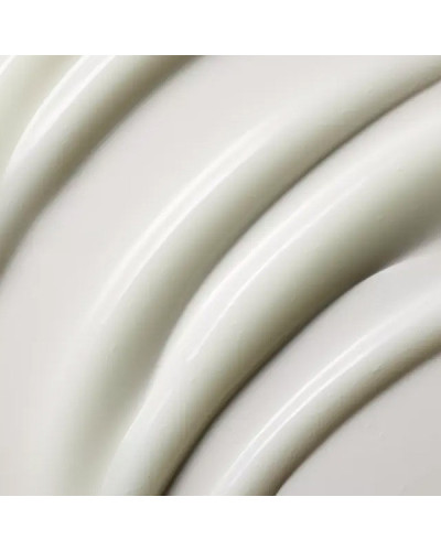 Après-Shampoing Antipelliculaire Hydratant Nioxin 200ml
