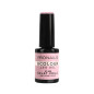 PN B COLOUR 408 ECLAT VOILA 10 ML
