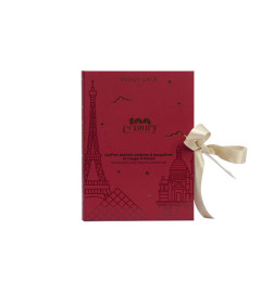 PS COFFRET PALETTE OMBRES À PAUPIÈRES ET ROUGE À LÈVRES - CENTURY EDITION