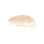 Fond de Teint Hydramatt 002R Très ClairTeinte Rouge Pour Sous-Ton Froid 30ml Gosh