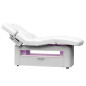 Lit Spa Celest Electric Avec Chauffage et Led Silverfox Lit Spa Celest Electric Avec Chauffage et Led Silverfox