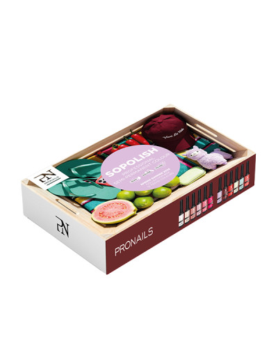 PN SOPOLISH BOX 2026 12 Flacons