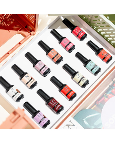 PN SOPOLISH BOX 2026 12 Flacons
