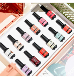PN SOPOLISH BOX 2026 12 Flacons