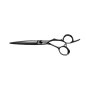 Ciseaux Dune Grey Taille 5.8"