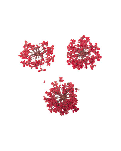 Décor d'ongles fleurs séchées red bouquet Peggy Sage