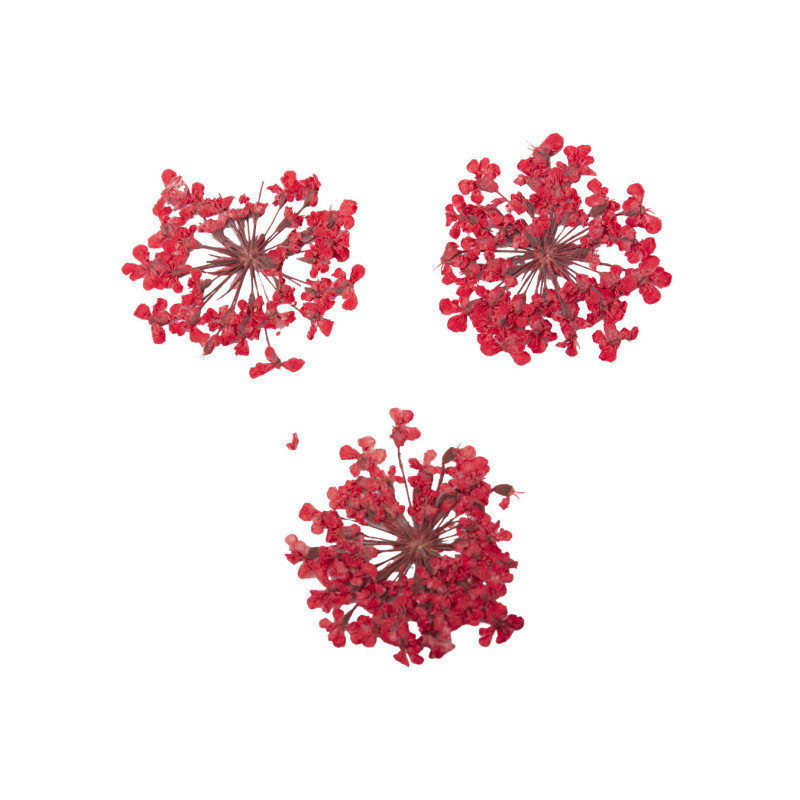 Décor d'ongles fleurs séchées red bouquet Peggy Sage