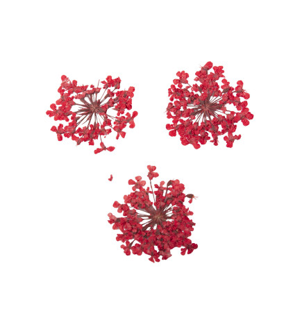 Décor d'ongles fleurs séchées red bouquet Peggy Sage