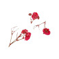 Décor d'ongles fleurs séchées red branches Peggy Sage Décor d'ongles fleurs séchées red branches Peggy Sage
