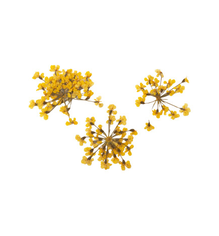 Décor d'ongles fleurs séchées yellow bouquet Peggy Sage