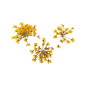 Décor d'ongles fleurs séchées yellow bouquet Peggy Sage