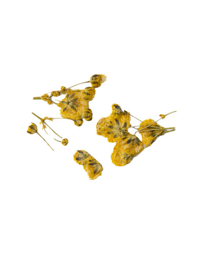 Décor d'ongles fleurs séchées yellow branches Peggy Sage
