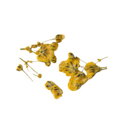 Décor d'ongles fleurs séchées yellow branches Peggy Sage