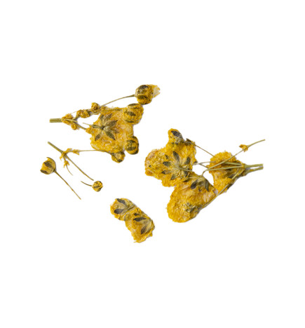 Décor d'ongles fleurs séchées yellow branches Peggy Sage