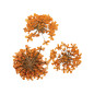 Décor d'ongles fleurs séchées orange bouquet Peggy Sage