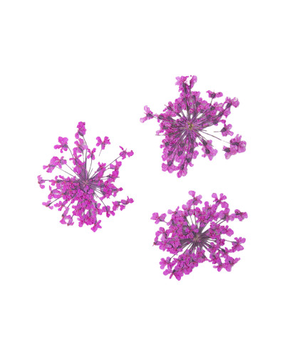 Décor d'ongles fleurs séchées pink bouquet Peggy Sage