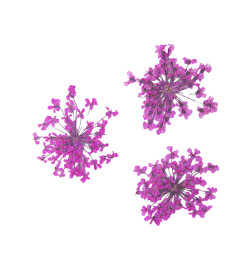 Décor d'ongles fleurs séchées pink bouquet Peggy Sage