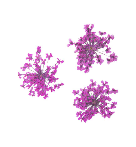Décor d'ongles fleurs séchées pink bouquet Peggy Sage