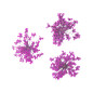 Décor d'ongles fleurs séchées pink bouquet Peggy Sage