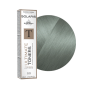 Ultimate Toner T*1 - Labradorite Ash Eugène Perma 60ml