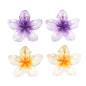 Présentoir 76 Barrettes Enfants Rainbow Hair Présentoir 76 Barrettes Enfants Rainbow Hair