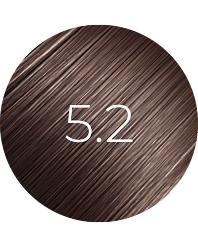 Patine BBHair Shine N°5,2  Chaâtain Clair Iridé Generik  60ml