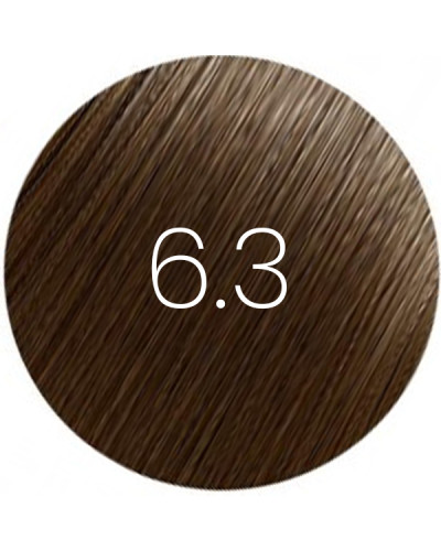 Patine BBHair Shine N°6,3 Blond Foncé Doré Generik  60ml