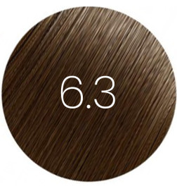 Patine BBHair Shine N°6,3 Blond Foncé Doré Generik 60ml