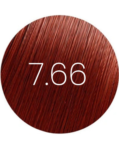 Patine BBHair Shine N°7,66 Blond Rouge Intense Generik  60ml