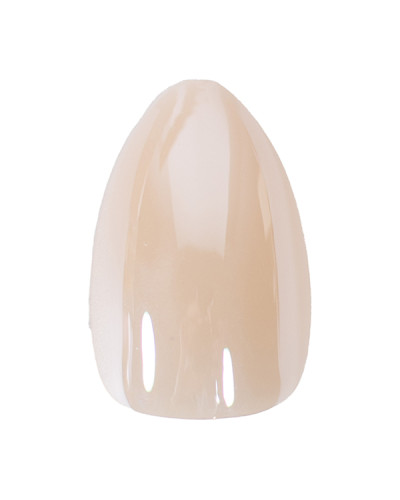 Faux Ongles Soft Glow Peggy Sage