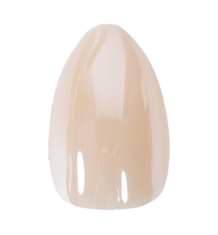 Faux Ongles Soft Glow Peggy Sage